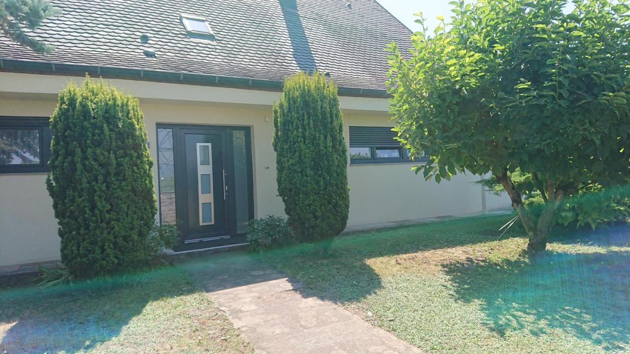 Logement Entier: Route Des Vins.Wintzenheim Appartement Buitenkant foto