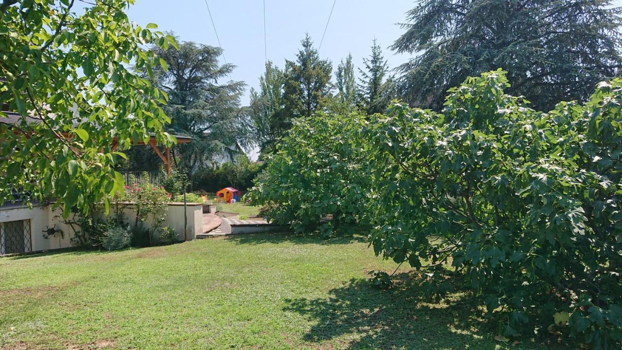 Logement Entier: Route Des Vins.Wintzenheim Appartement Buitenkant foto